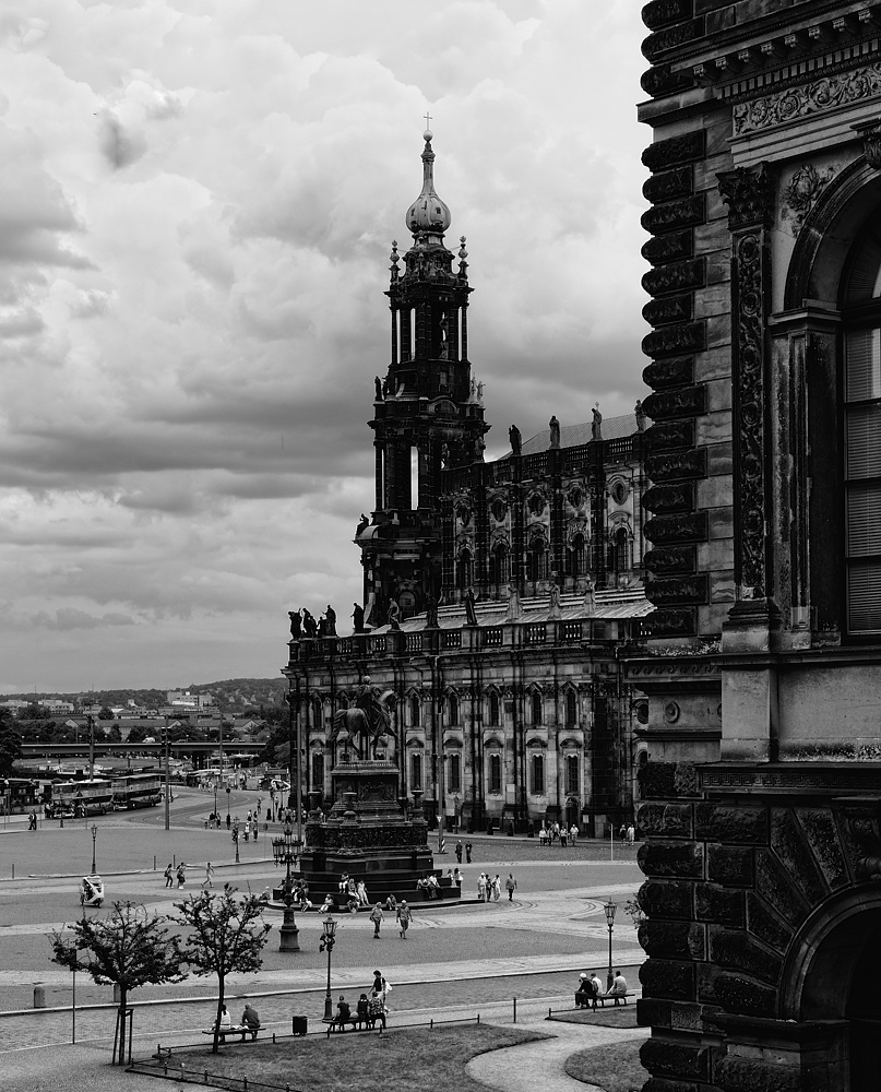 DSC3654 NFF