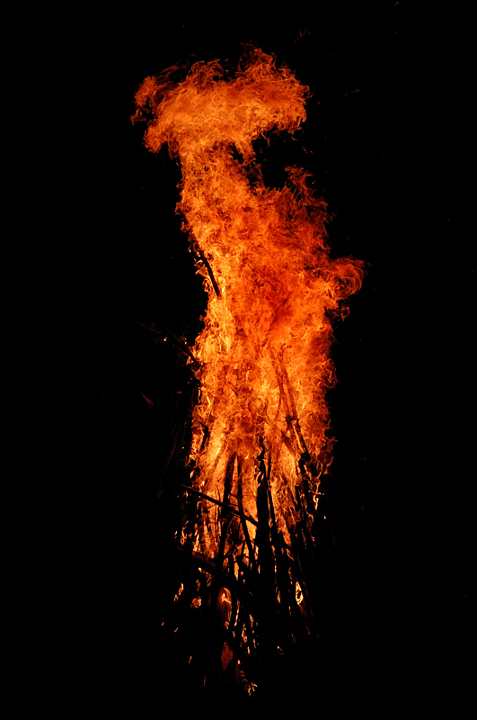 DSC3755