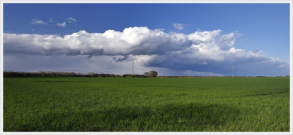 DSC3812 nff