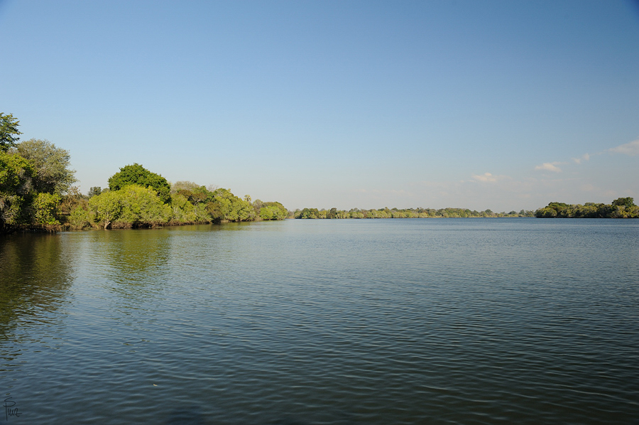 DSC3822 NFF