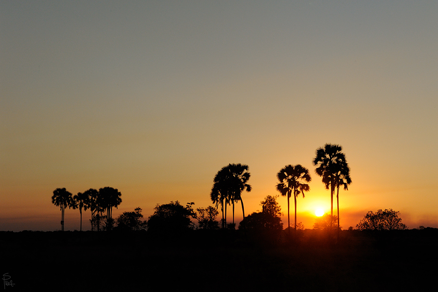 DSC3862 NFF