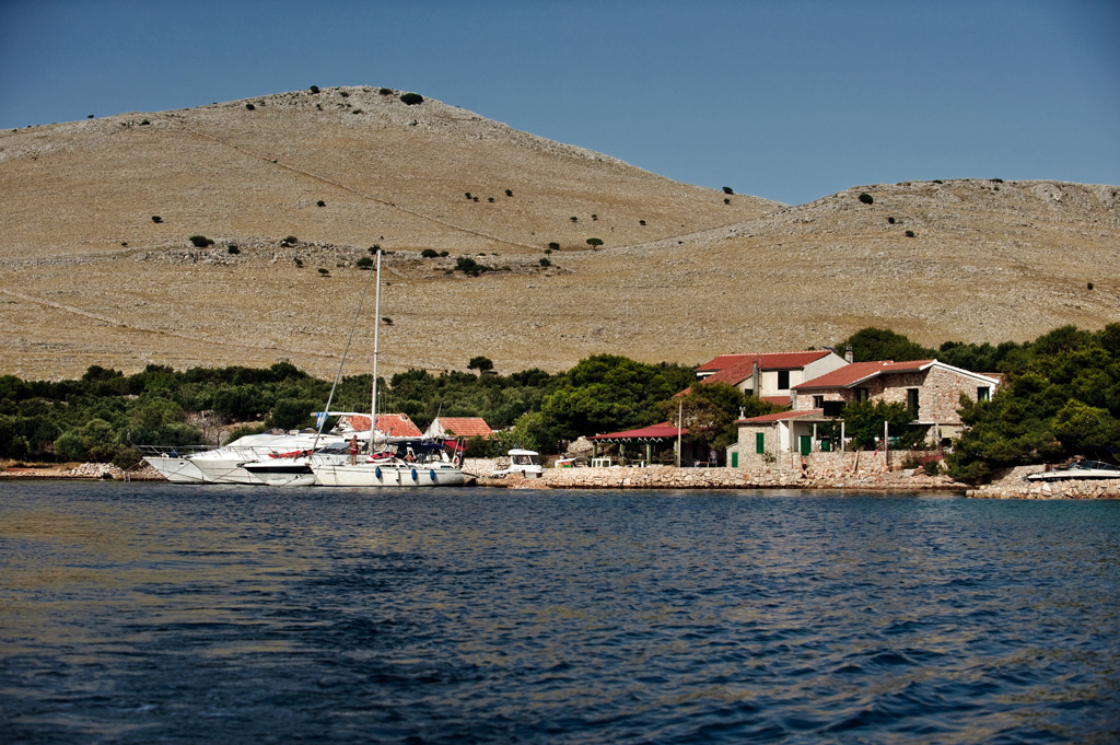 DSC3949
