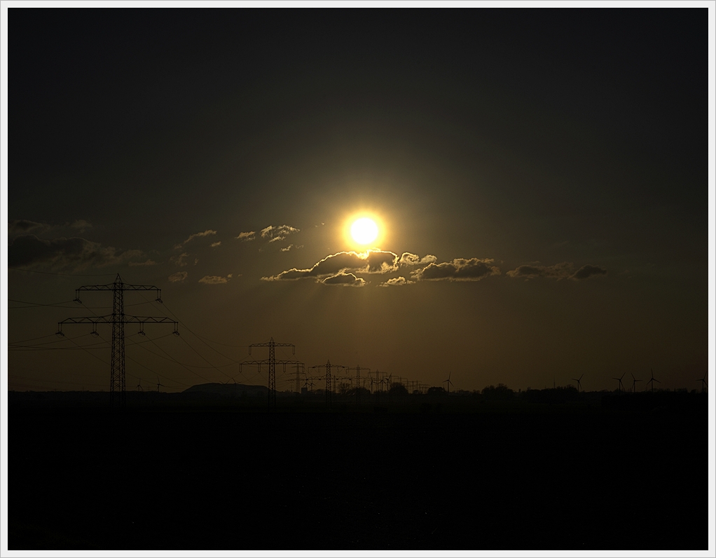 DSC3979 nff