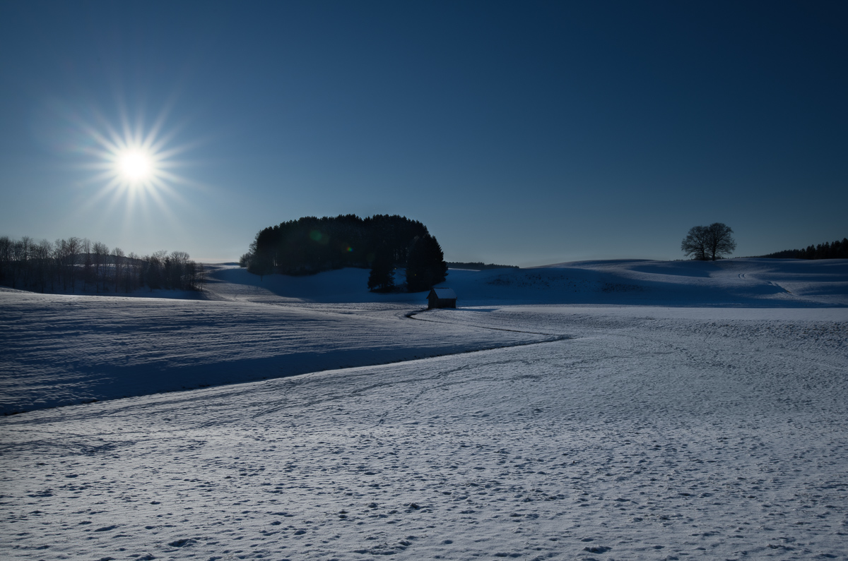 DSC3997 Bearbeitet 1