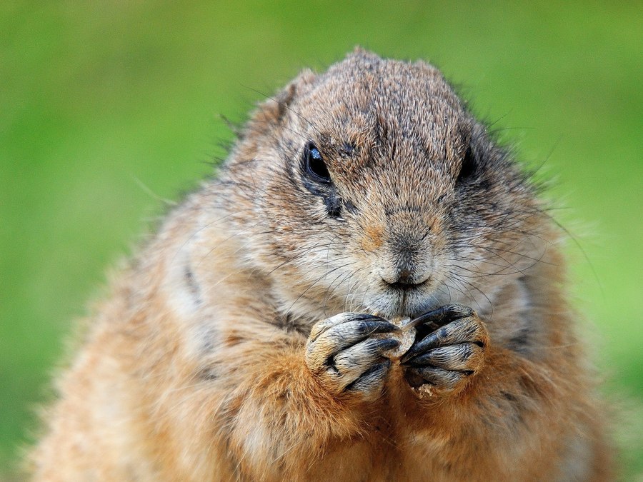 DSC4150