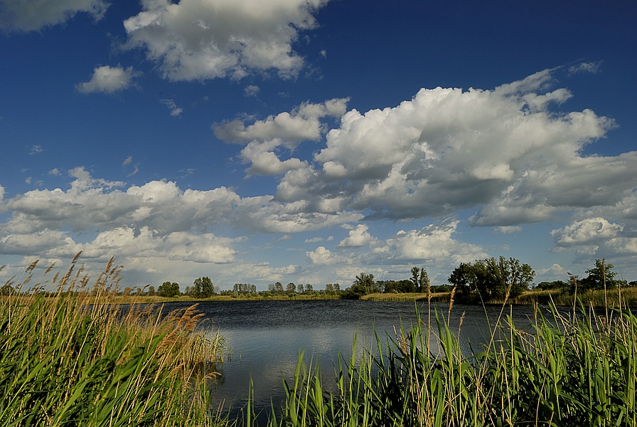 DSC4259a