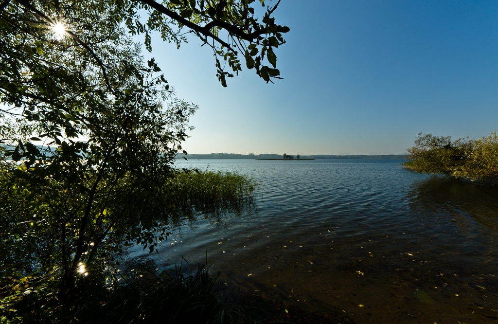 DSC4294c