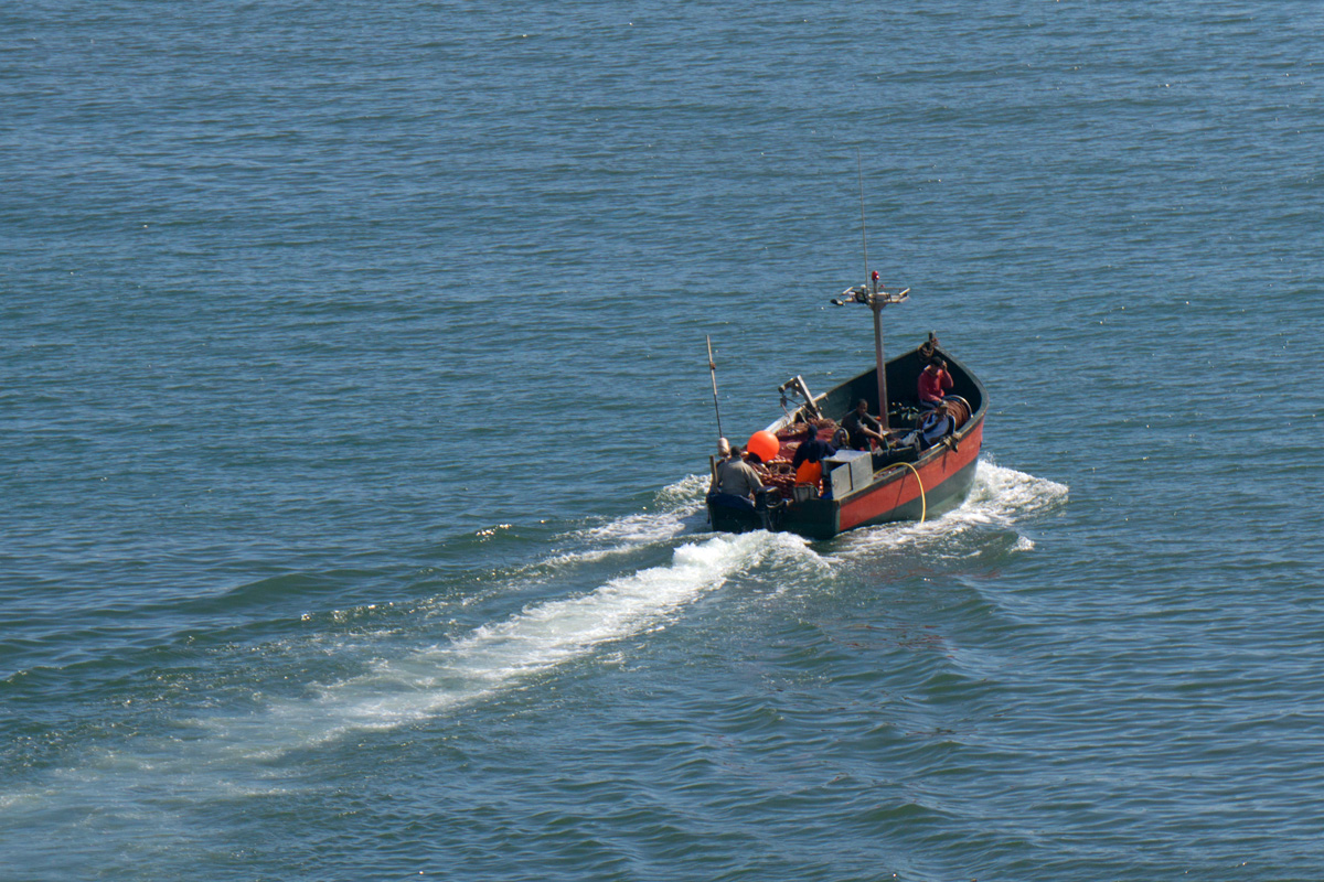 DSC4312 w