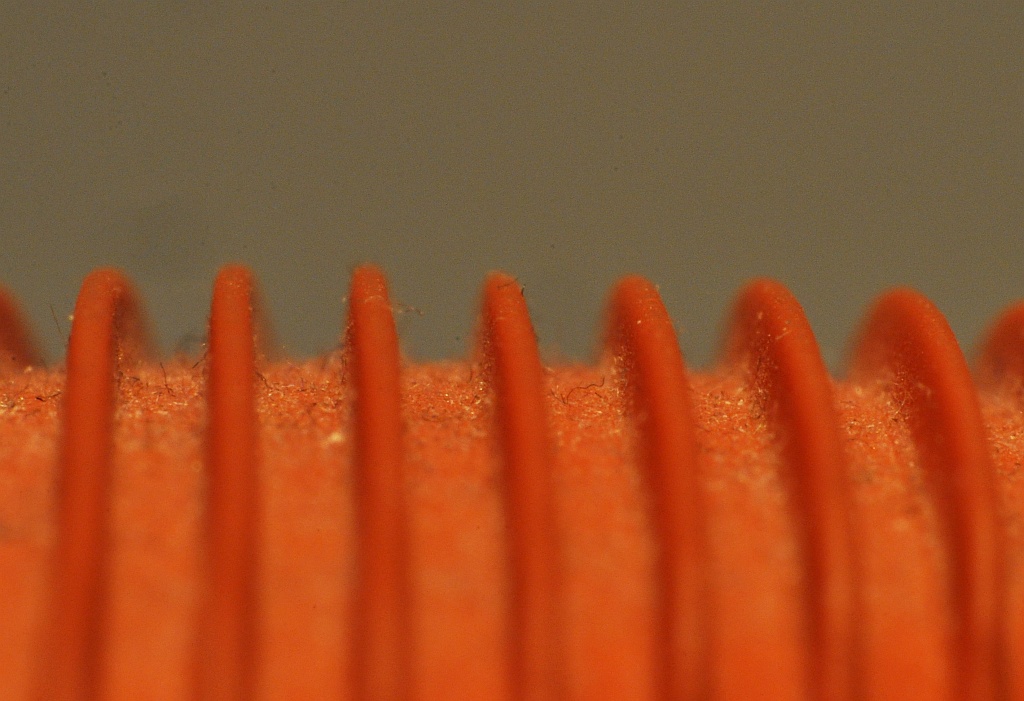 DSC4339a