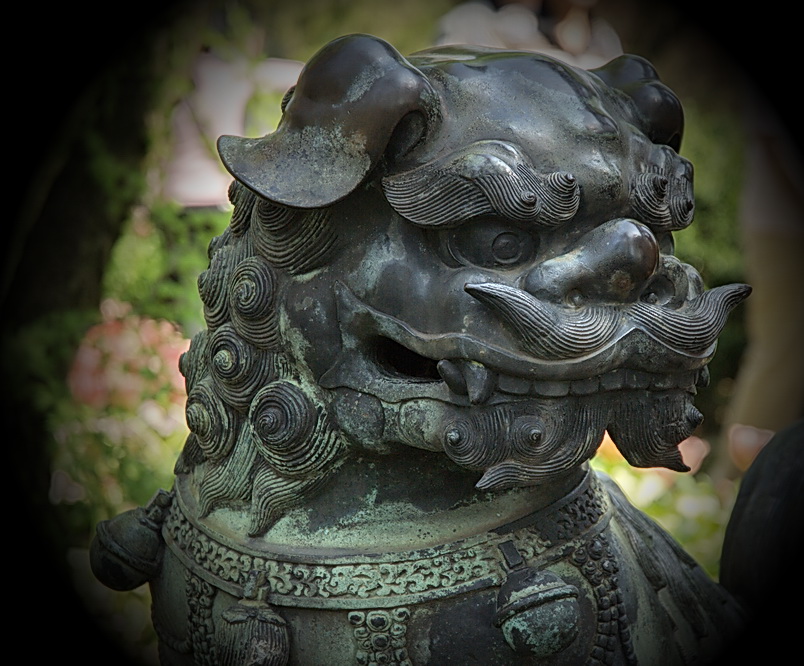DSC4340