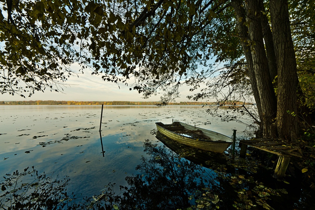 DSC4344c