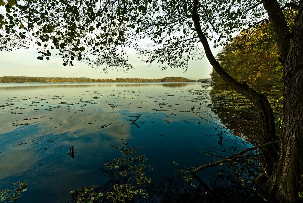 DSC4346c