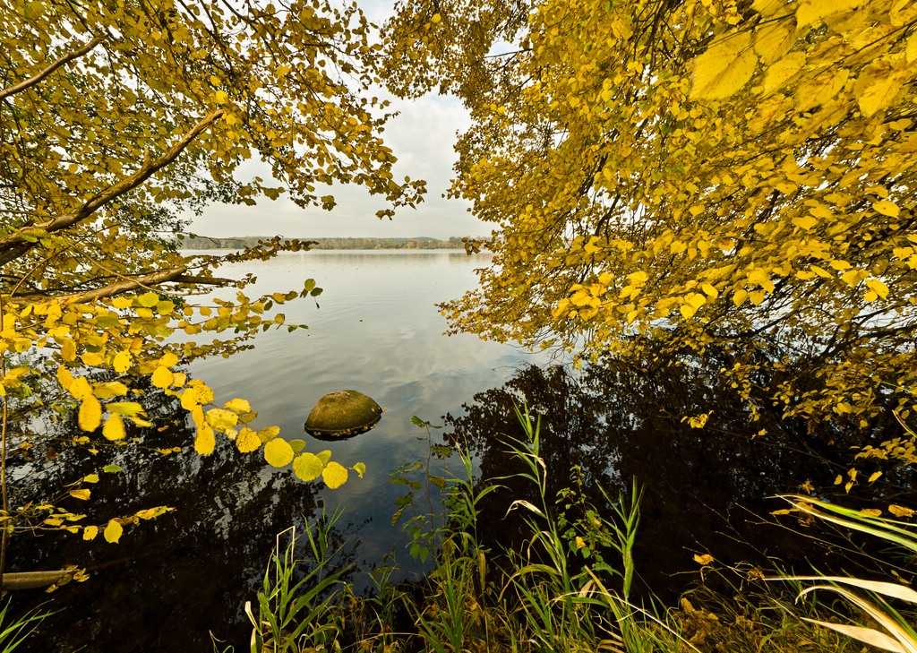 DSC4356c