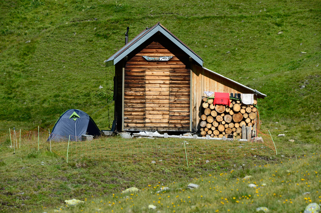 DSC4414
