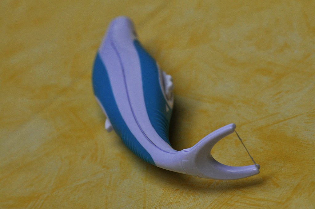 DSC4534a