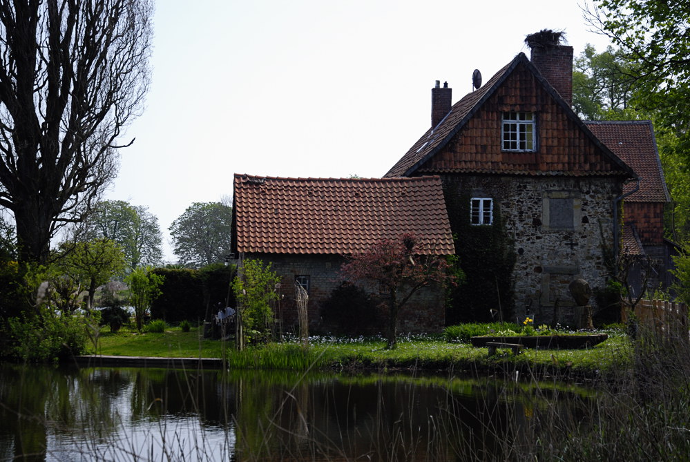 DSC4579