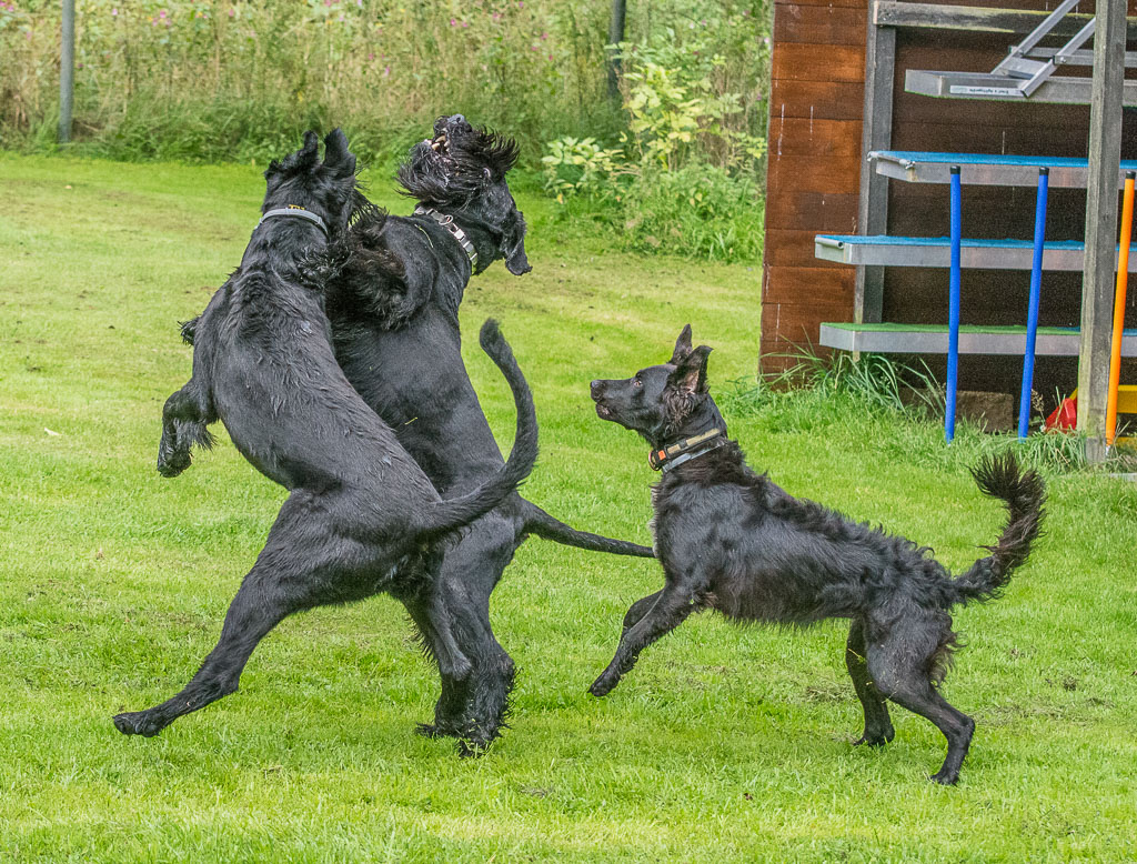 DSC4649 1