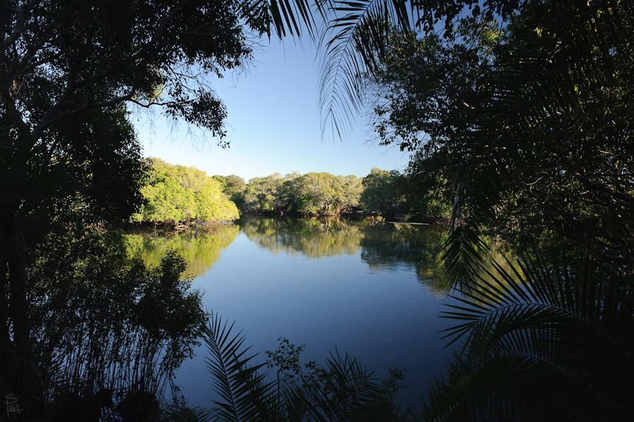 DSC4662 NFF