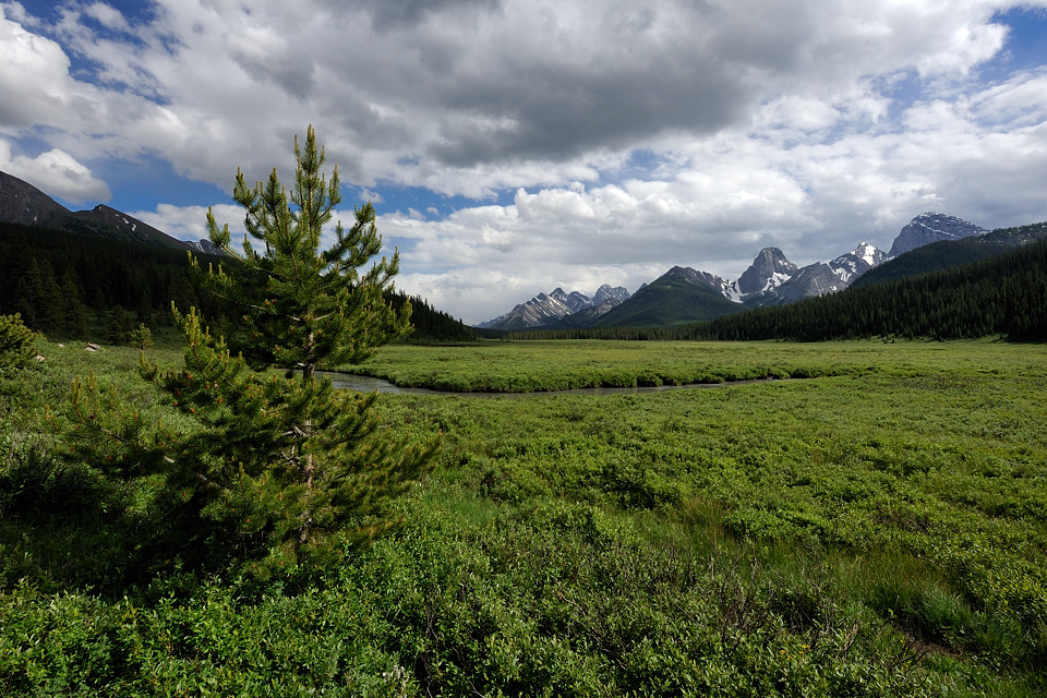 DSC4765 NF-F
Landschaft in den kanadischen Rocky Mountains
südöstlich des Banff NP