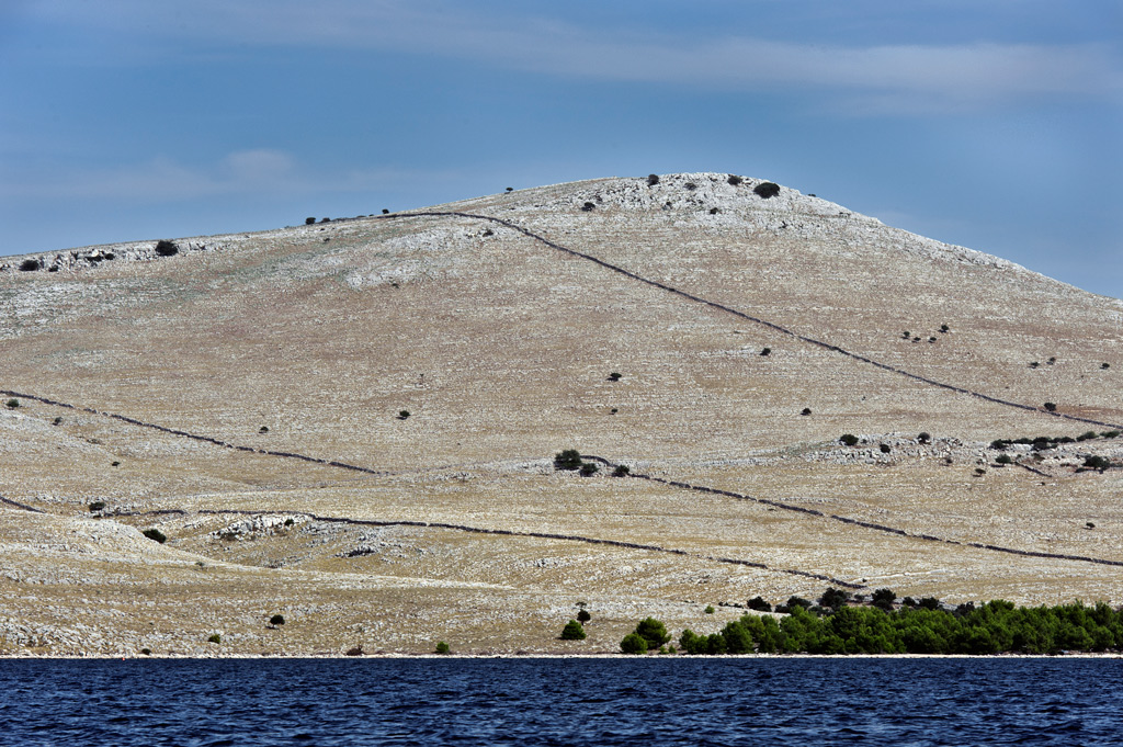 DSC4767