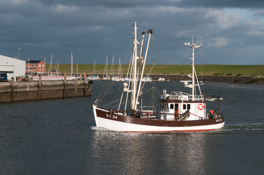 DSC4796
