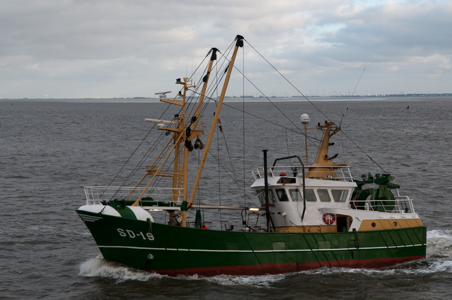 DSC4818