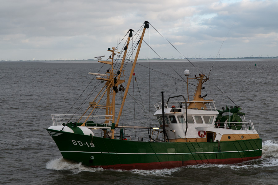 DSC4819