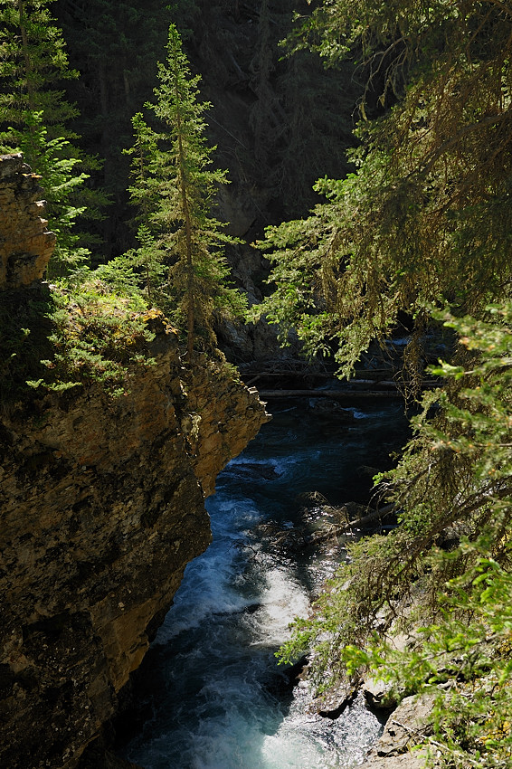 DSC4838 NF-F
Johnston Canyon
Banff NP