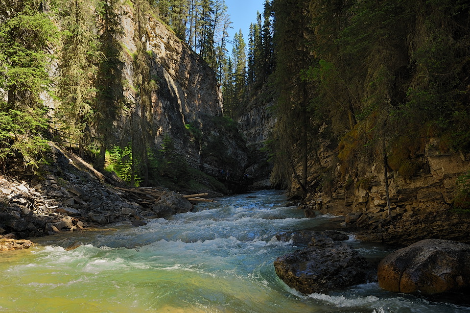 DSC4842 NF-F
Johnston Canyon
Banff