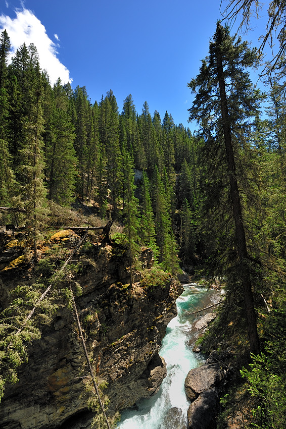 DSC4892 NF-F
Johnston Canyon
Banff NP