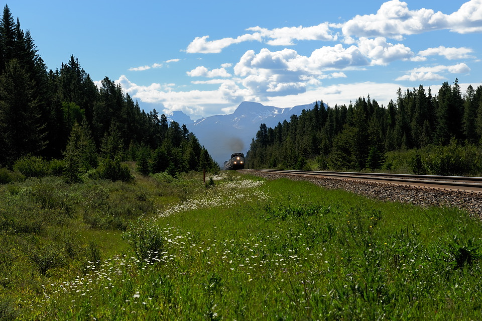 DSC4912 NF-F
Rocky Mountaineer
Banff NP, Kanada