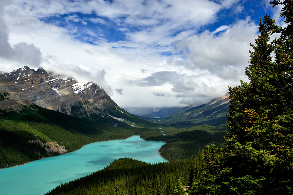 DSC4960 NF-F
Peyto Lake
Banff NP