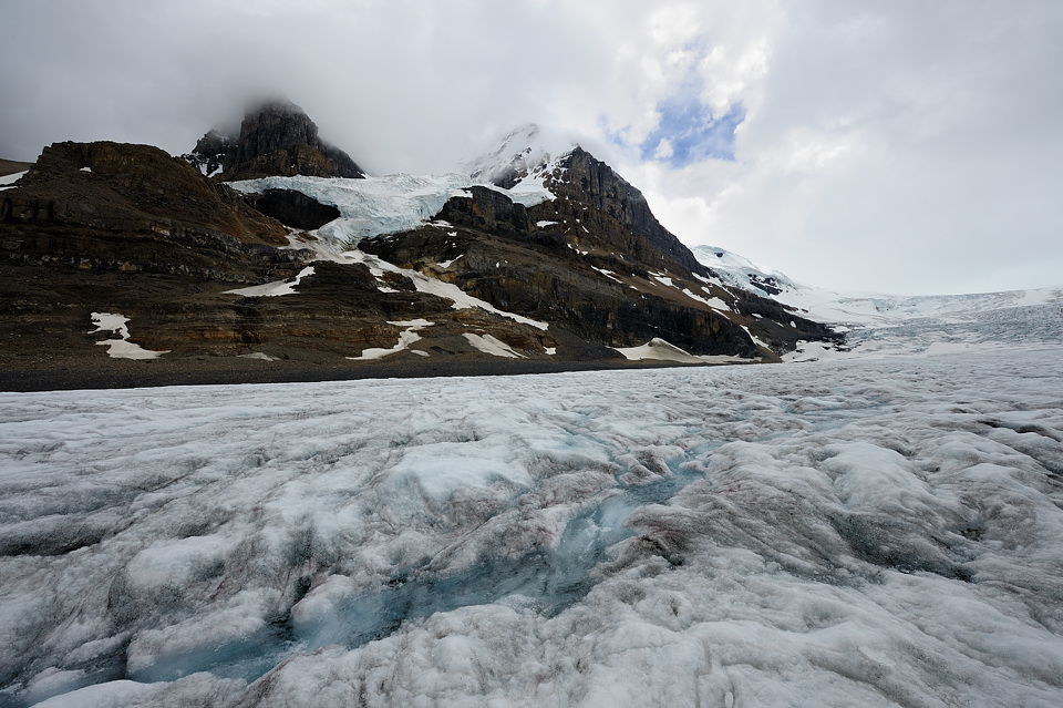 DSC4966 NF-F
Columbia Icefield
Jasper NP
