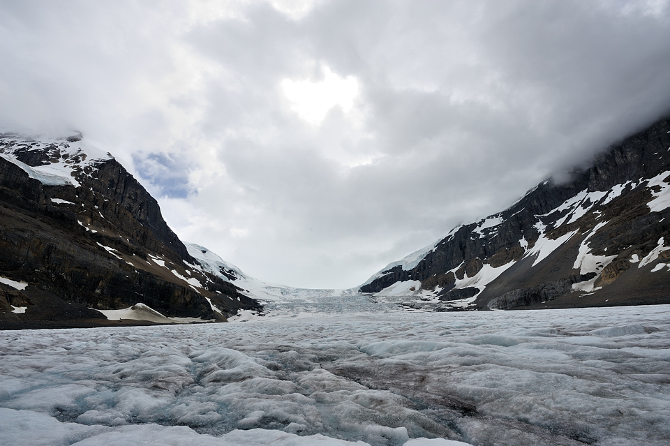 DSC4969 NF-F
Columbia Icefield
Jasper NP
