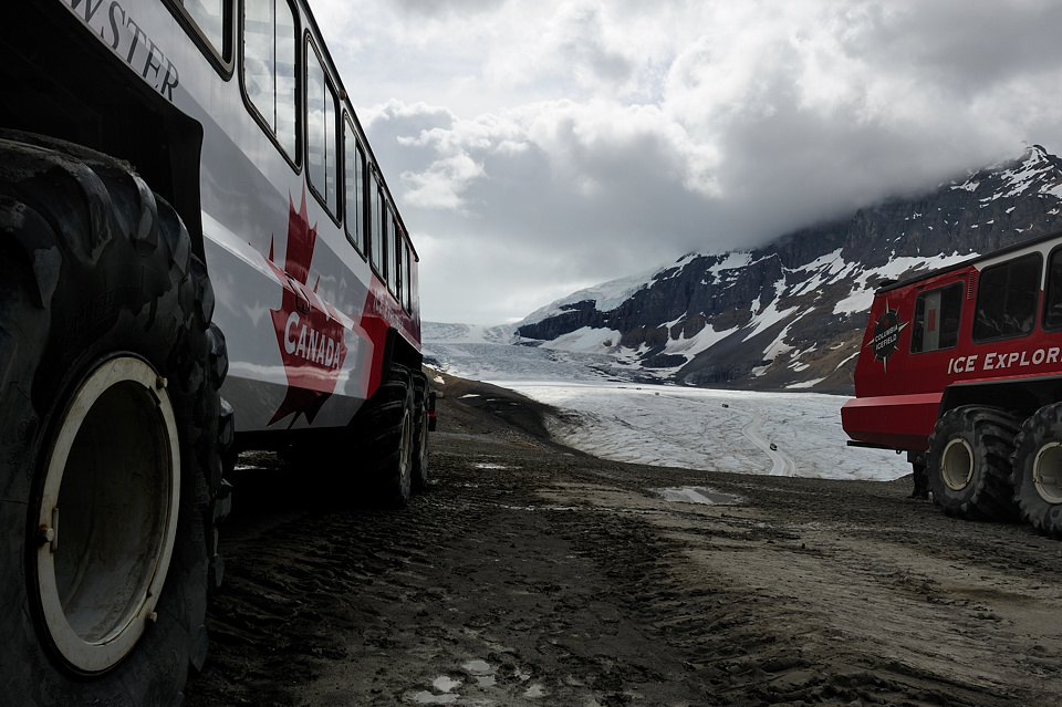 DSC4981 NF-F
Columbia Icefield
Jasper NP