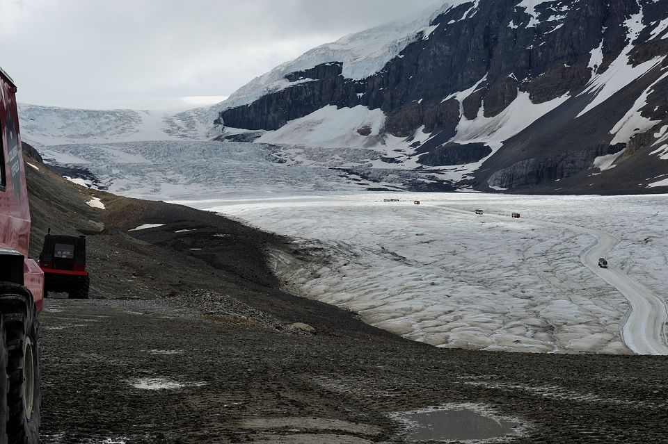 DSC4983 NF-F
Columbia Icefield
Jasper NP