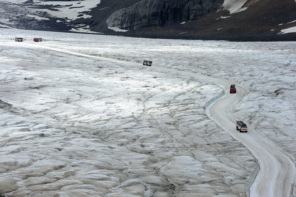 DSC4988 NF-F
Columbia Icefield
Jasper NP