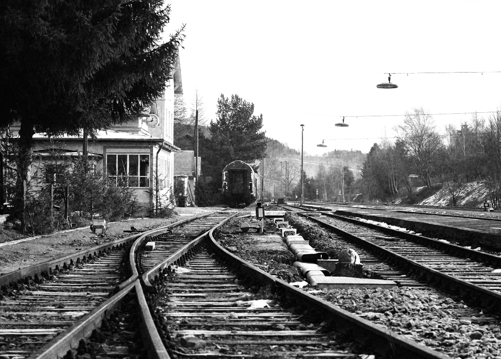 DSC5019 nff