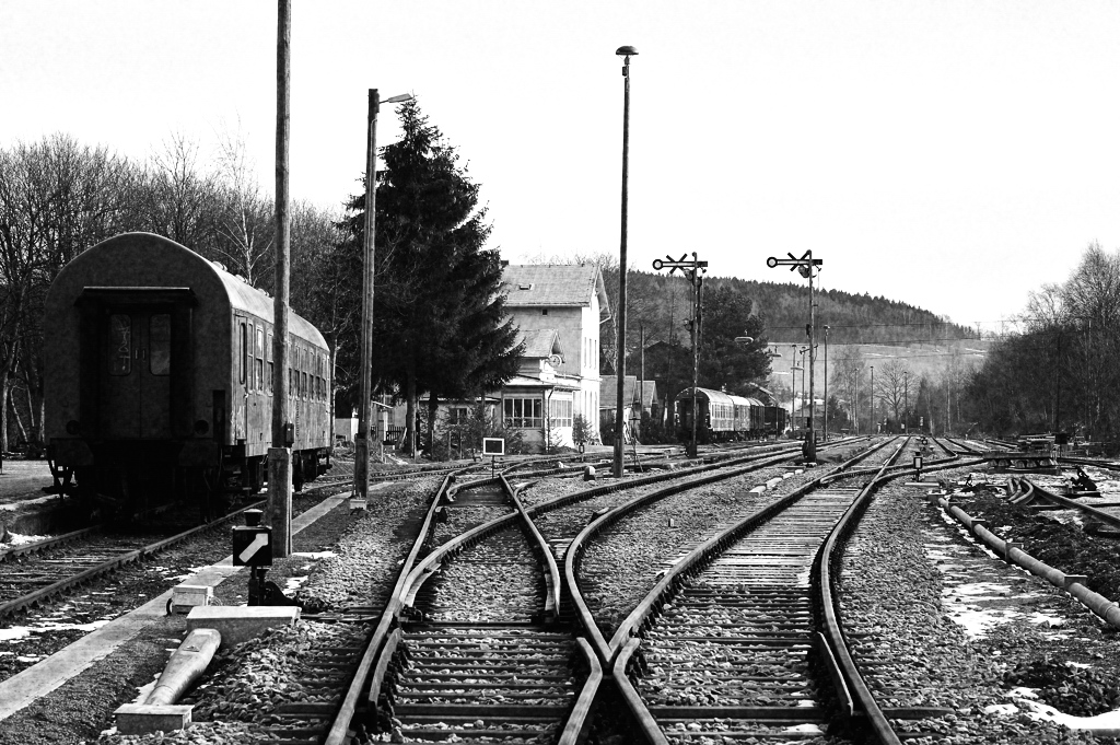 DSC5025 nff