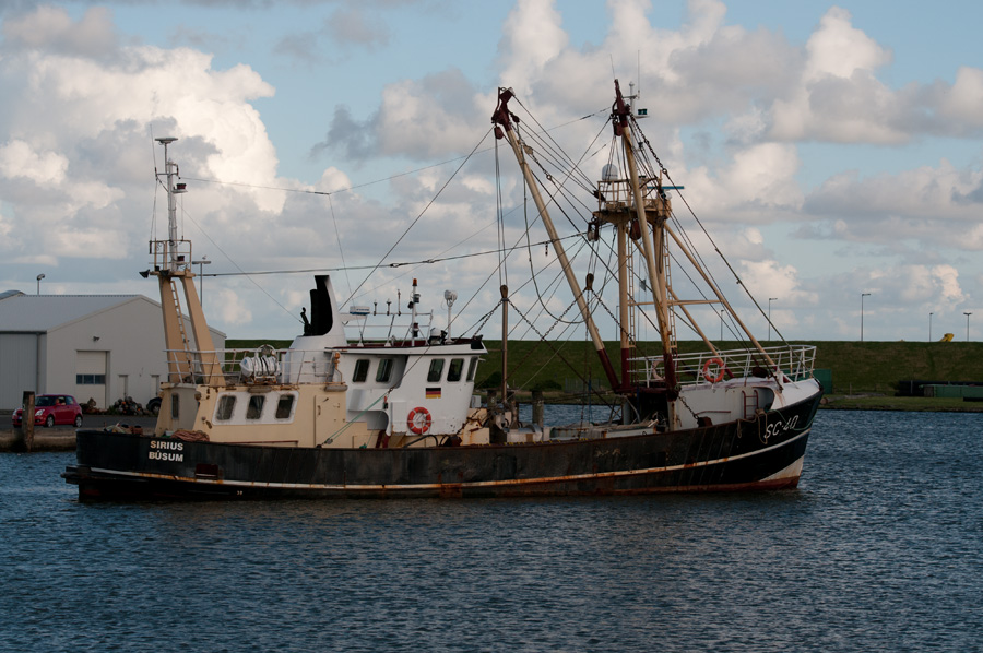 DSC5061