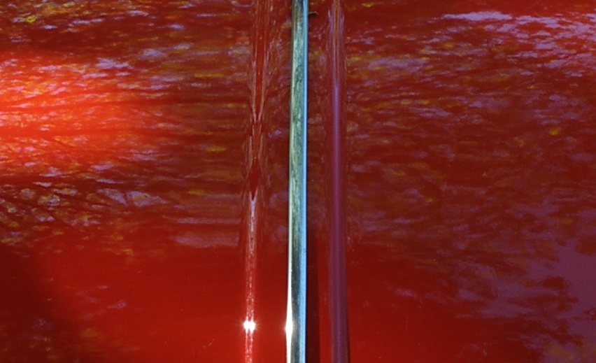 DSC5064