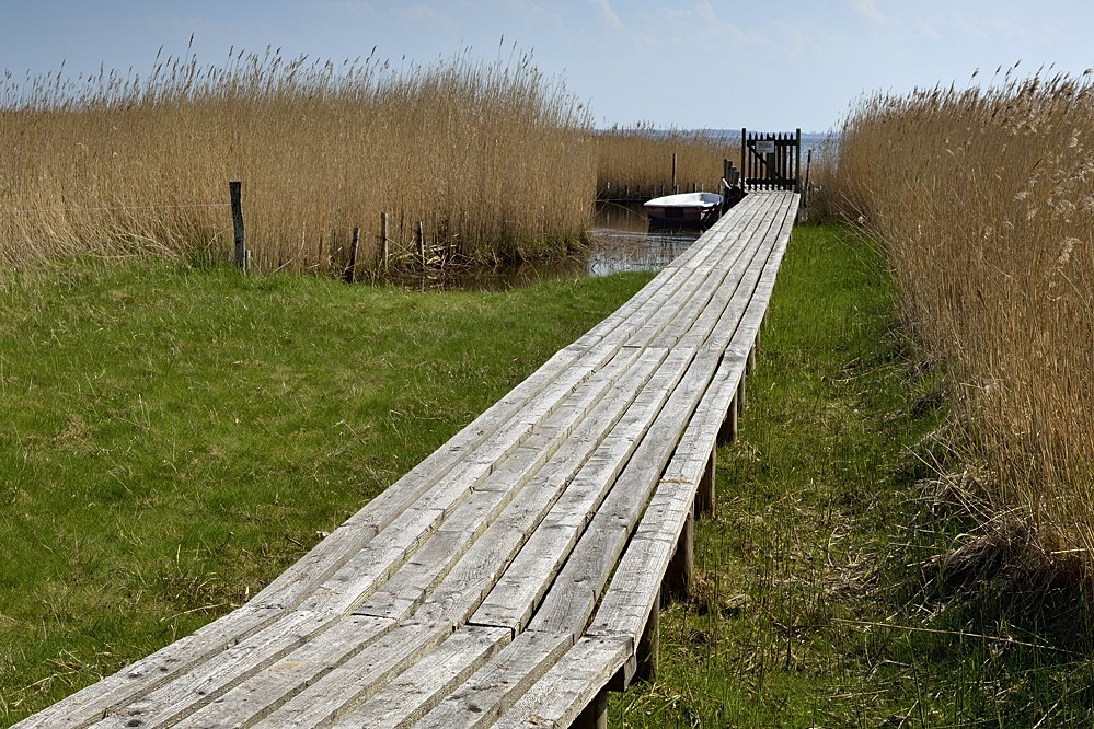DSC5071