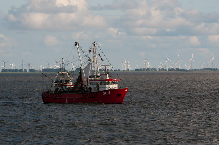 DSC5082