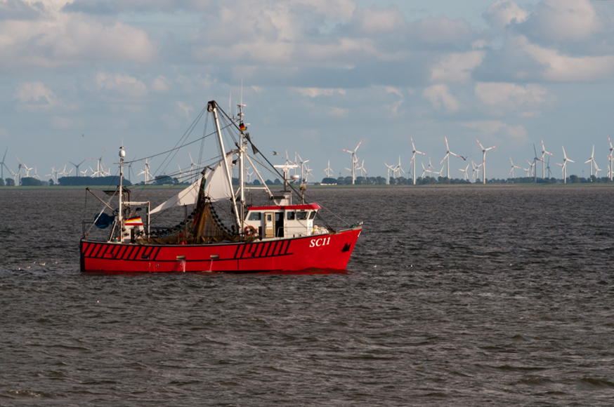 DSC5083