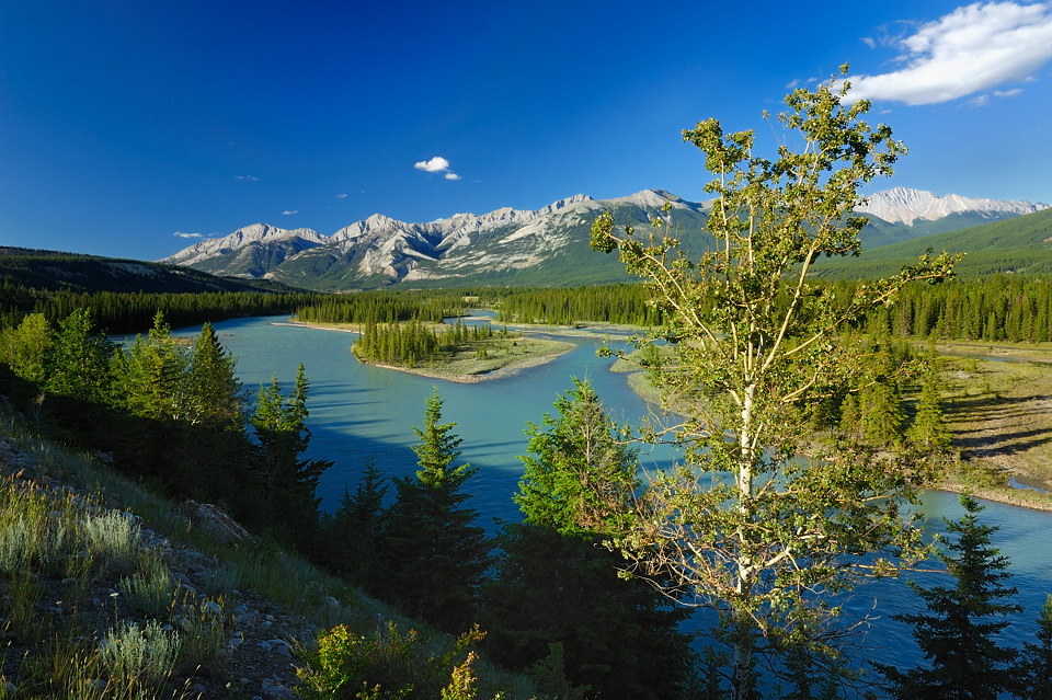 DSC5086 NF-F
Athabasca River
Jasper NP