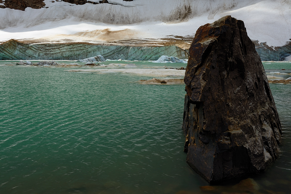 DSC5131 NF-F
Cavell Lake
Jasper NP, Kanada