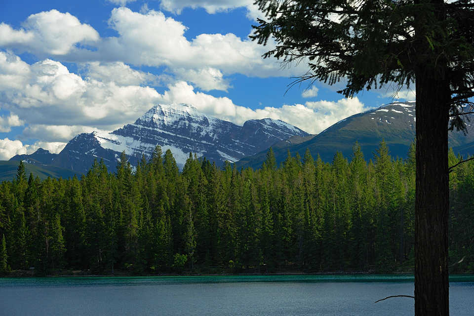 DSC5137 NF-F
Lake Edith und Mount Edith Cavell
Jasper NP