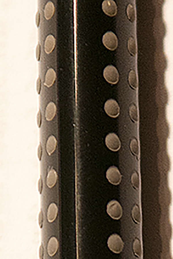 DSC5137
