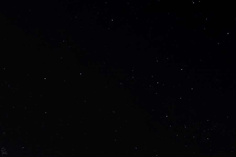 DSC5245 NFF