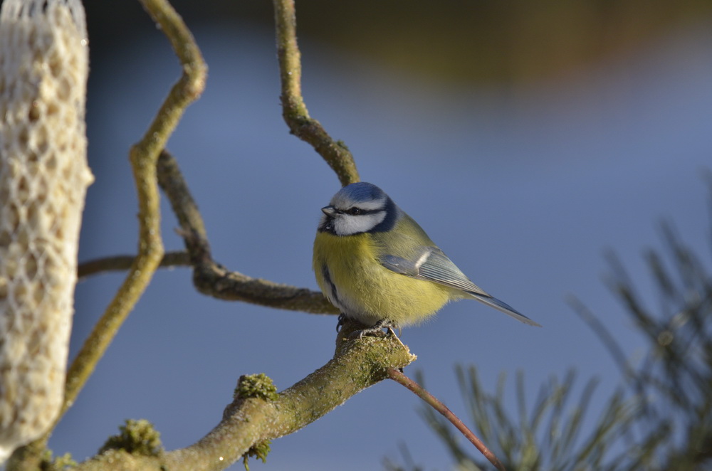 DSC5343 sRGB NF